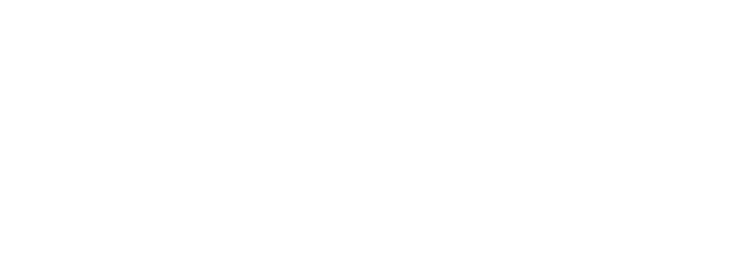 bugpi